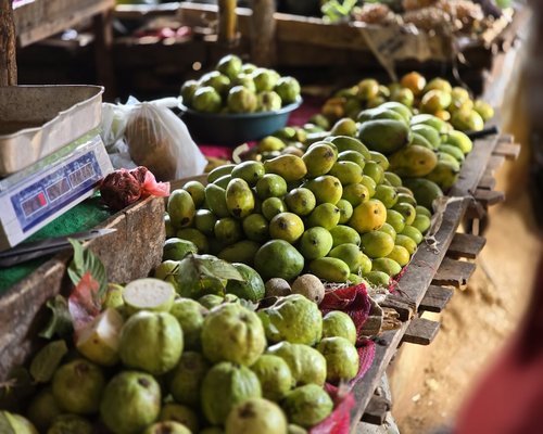 Fresh green nopales and sliced ripe avocados displayed beautifully at a traditional market stand